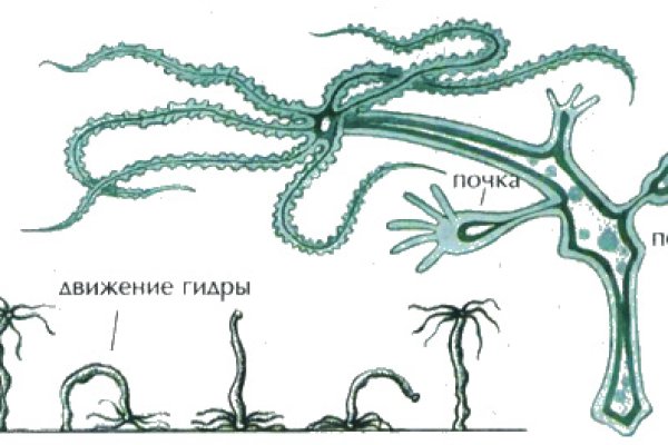 Мега зеркала тор онион мориарти кракен