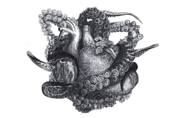 Kraken 13 at сайт