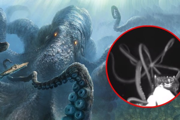 Kraken 17at