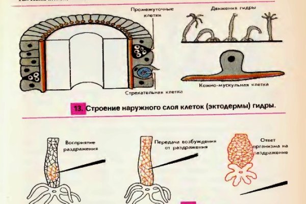 Ссылка на кракен в тор браузере kr2web in