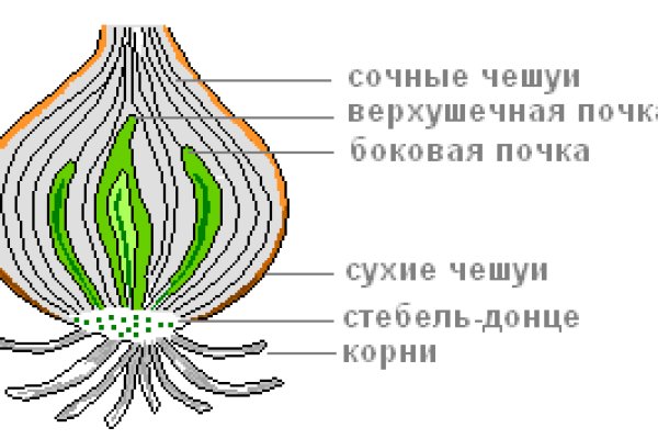 Кракен орг